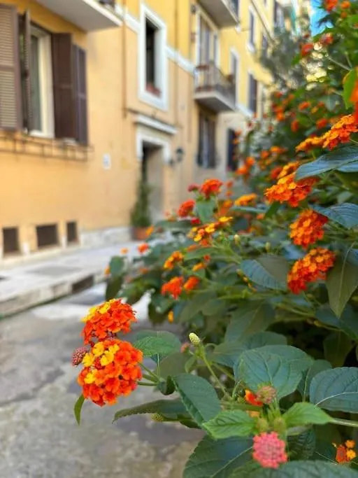 La Casetta Trastevere Roma 0*,